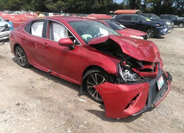 TOYOTA CAMRY 2019 4t1b11hk6ku165852