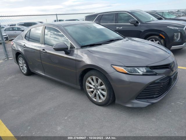 TOYOTA CAMRY 2019 4t1b11hk6ku175443