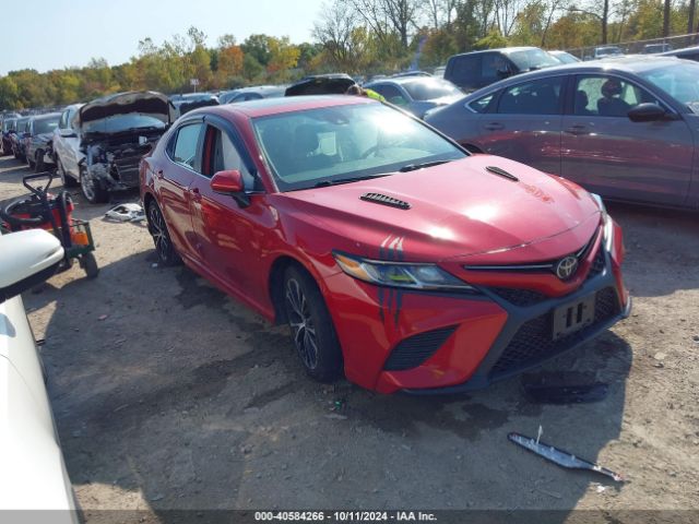 TOYOTA CAMRY 2019 4t1b11hk6ku181128