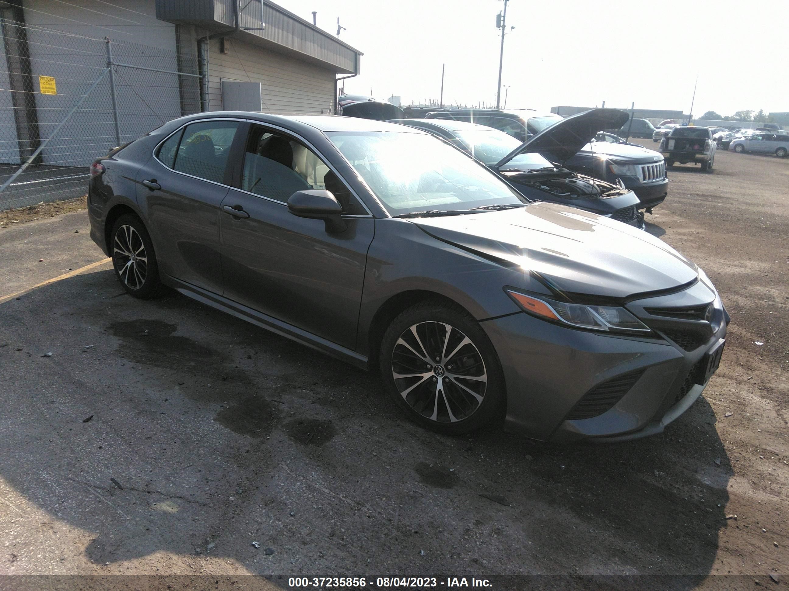 TOYOTA CAMRY 2019 4t1b11hk6ku219747