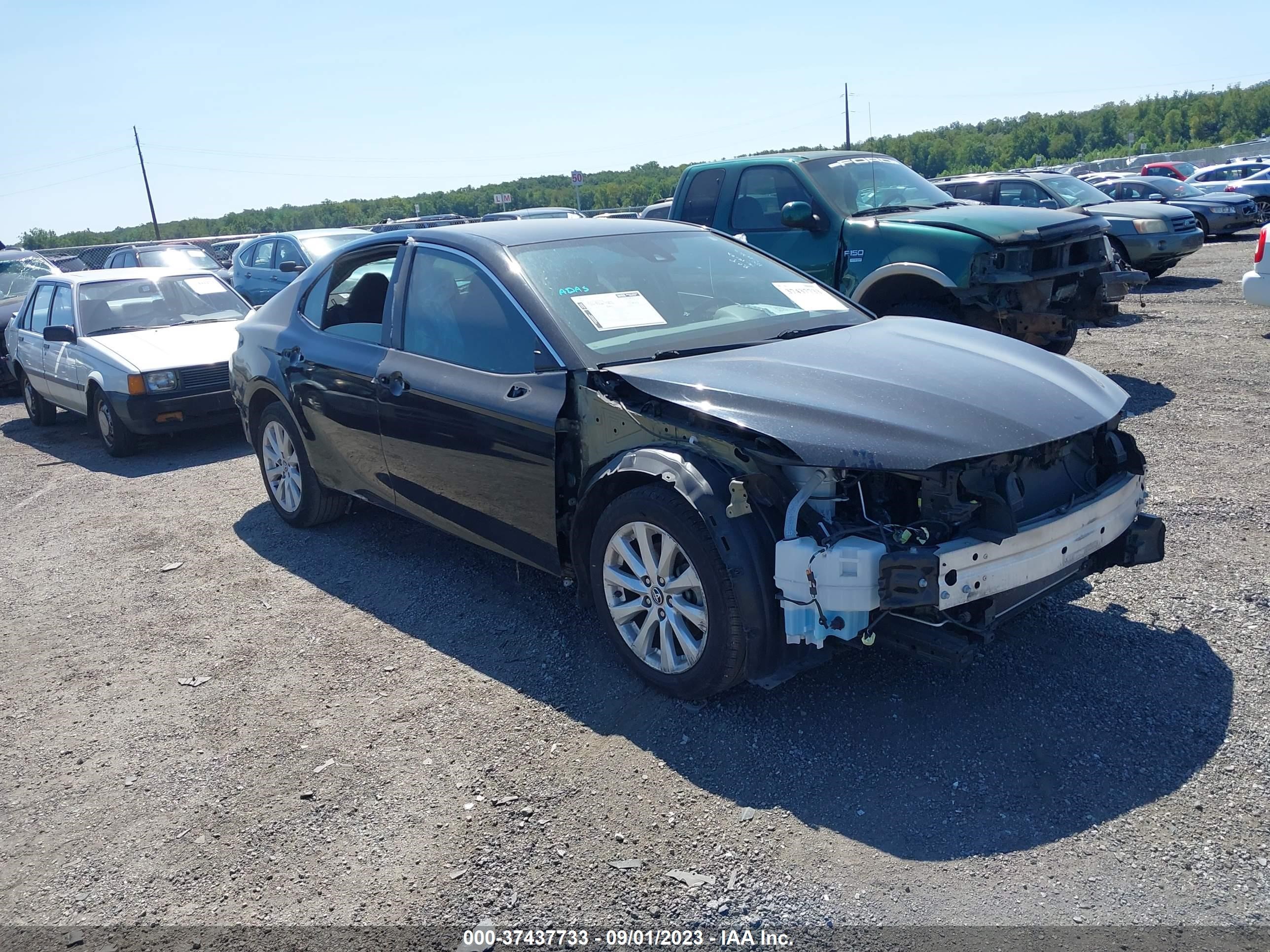 TOYOTA CAMRY 2019 4t1b11hk6ku231932