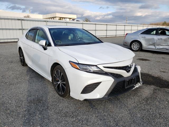 TOYOTA CAMRY L 2019 4t1b11hk6ku246429