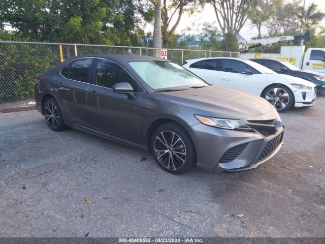 TOYOTA CAMRY 2019 4t1b11hk6ku271878