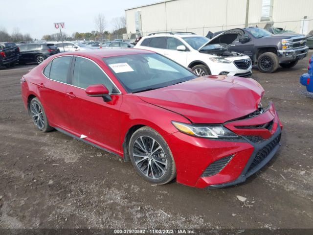 TOYOTA CAMRY 2019 4t1b11hk6ku281844