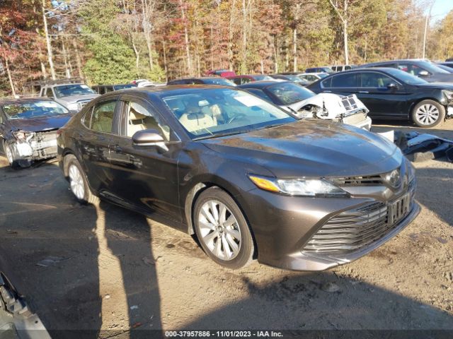 TOYOTA CAMRY 2019 4t1b11hk6ku692208