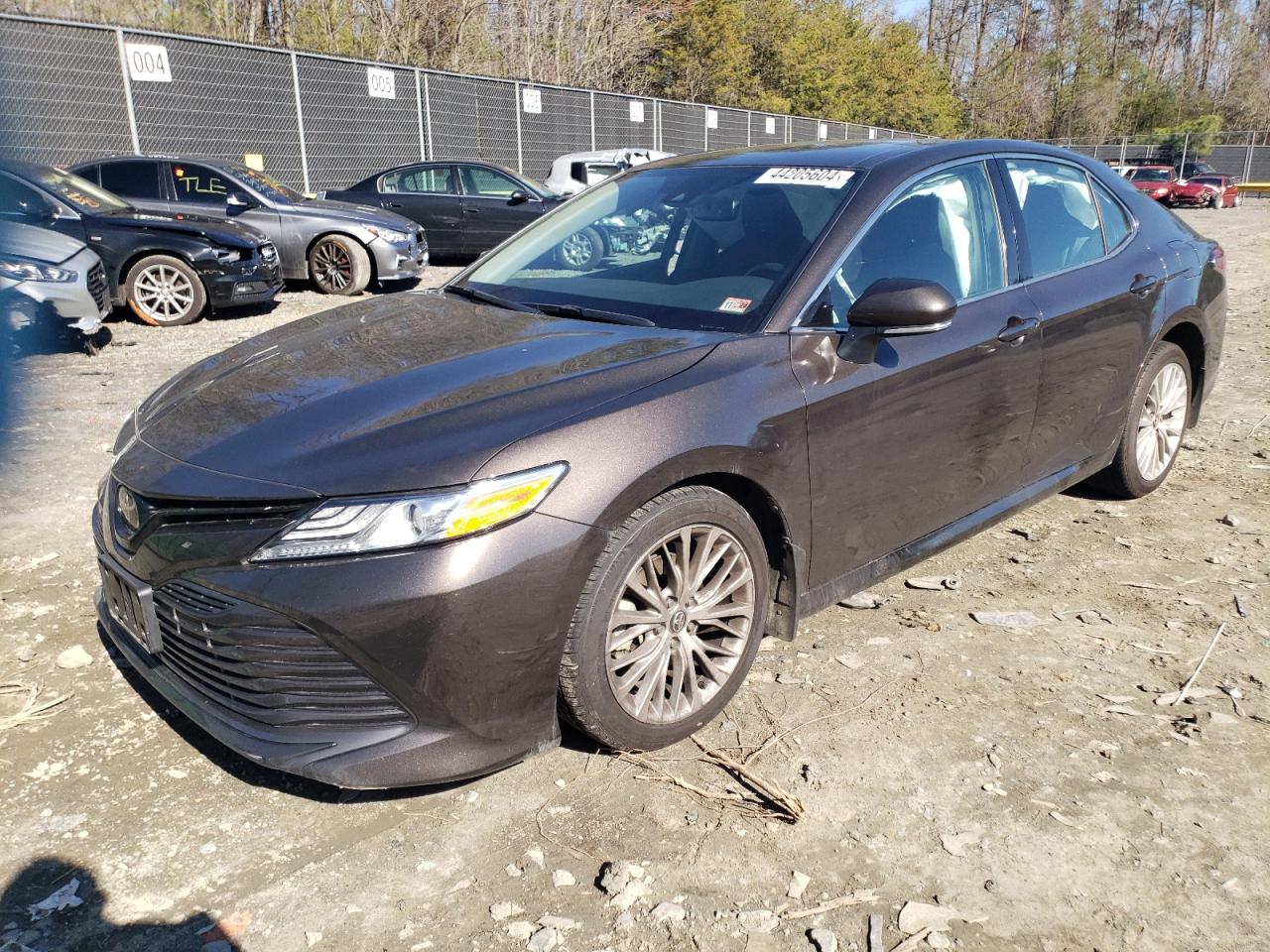 TOYOTA CAMRY 2019 4t1b11hk6ku700596