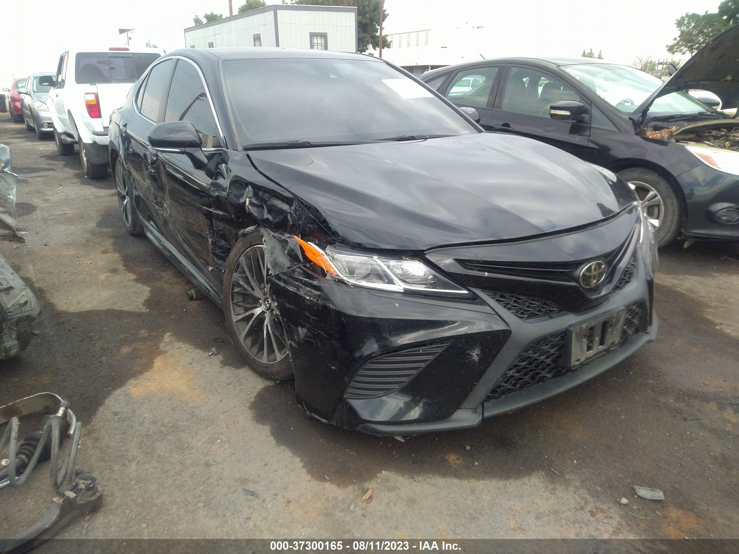 TOYOTA CAMRY 2019 4t1b11hk6ku702106