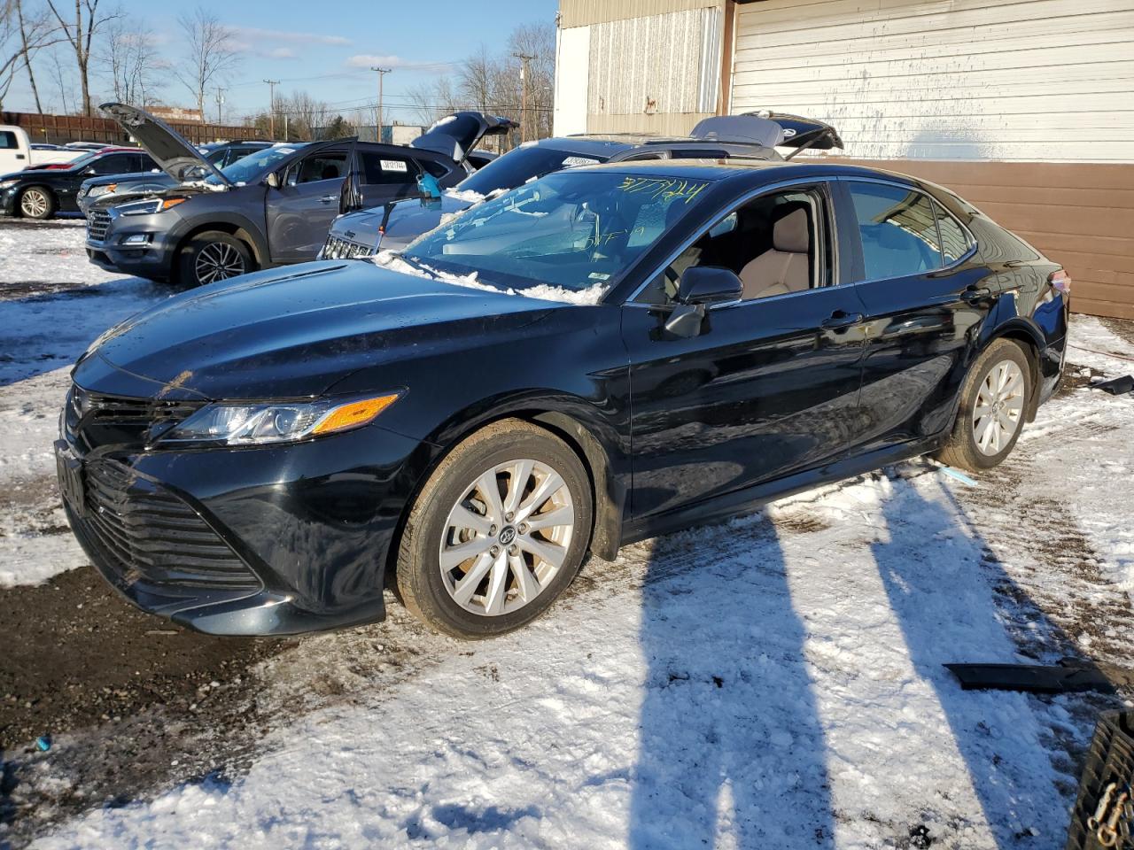 TOYOTA CAMRY 2019 4t1b11hk6ku756778