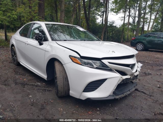 TOYOTA CAMRY 2019 4t1b11hk6ku779980