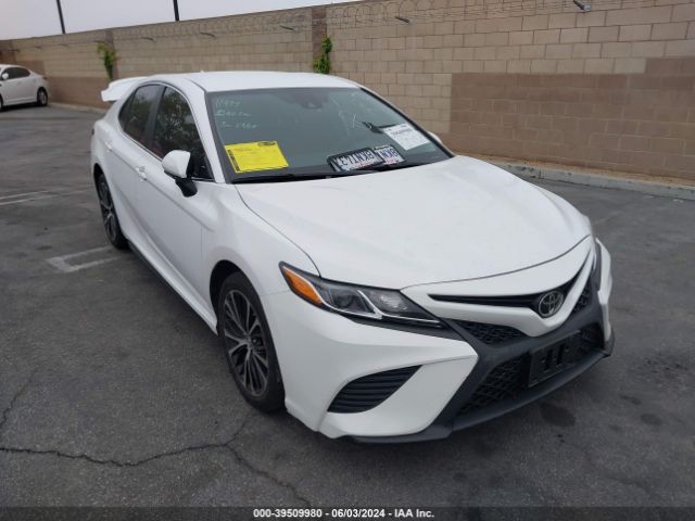 TOYOTA CAMRY 2019 4t1b11hk6ku804912