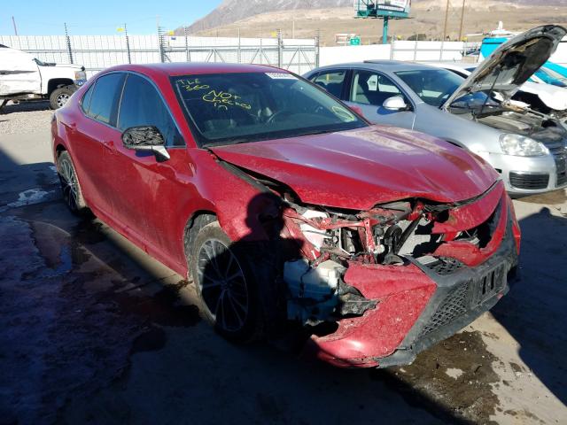 TOYOTA CAMRY L 2019 4t1b11hk7ku162569