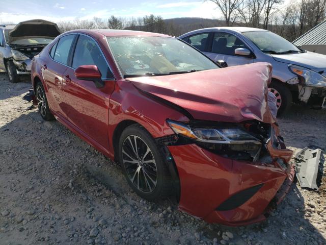 TOYOTA CAMRY L 2019 4t1b11hk7ku193675