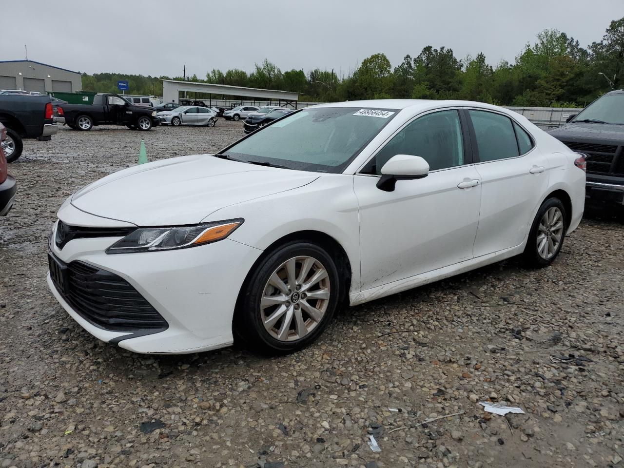 TOYOTA CAMRY 2019 4t1b11hk7ku218493