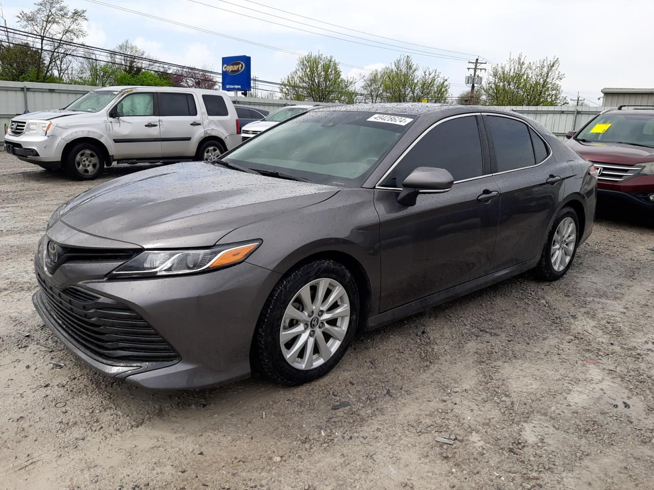 TOYOTA CAMRY 2019 4t1b11hk7ku287331