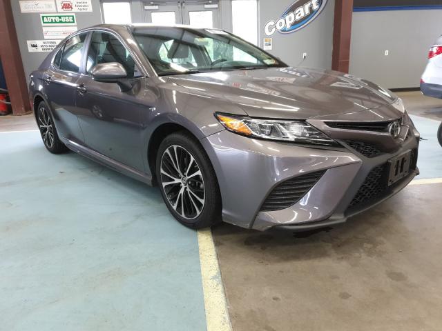 TOYOTA CAMRY L 2019 4t1b11hk7ku729105