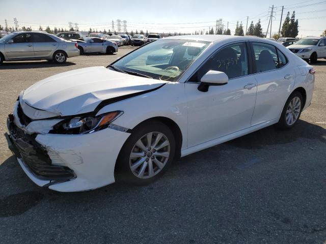 TOYOTA CAMRY L 2019 4t1b11hk7ku736863