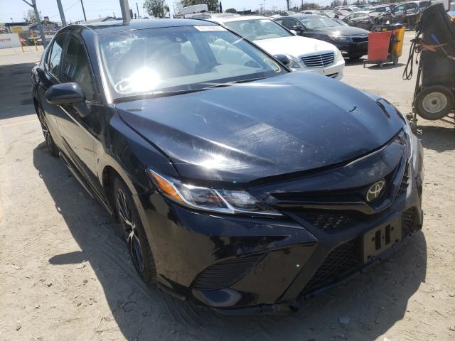 TOYOTA CAMRY L 2019 4t1b11hk7ku760466