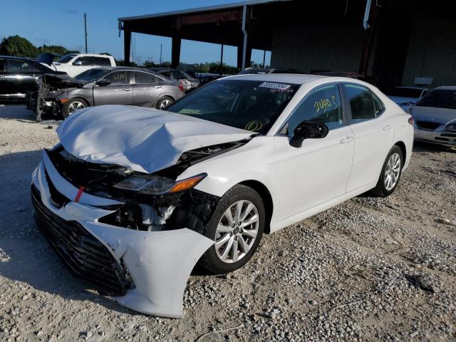 TOYOTA CAMRY L 2019 4t1b11hk7ku771452