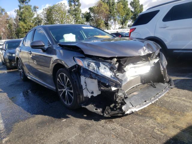 TOYOTA CAMRY L 2019 4t1b11hk7ku773637