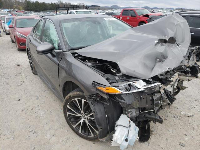 TOYOTA CAMRY L 2019 4t1b11hk7ku800951