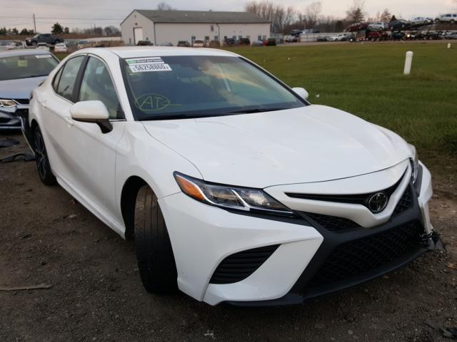 TOYOTA CAMRY L 2019 4t1b11hk7ku801999