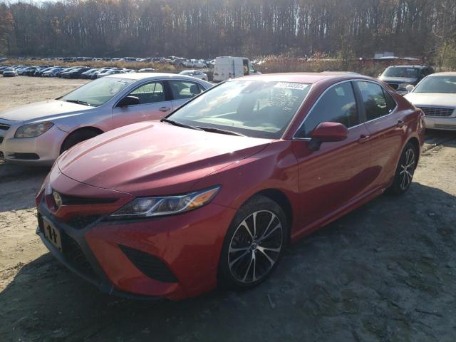 TOYOTA CAMRY L 2019 4t1b11hk8ku167120