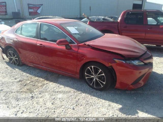 TOYOTA CAMRY 2019 4t1b11hk8ku177999