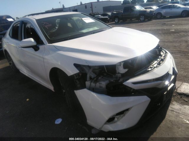 TOYOTA CAMRY 2019 4t1b11hk8ku213190