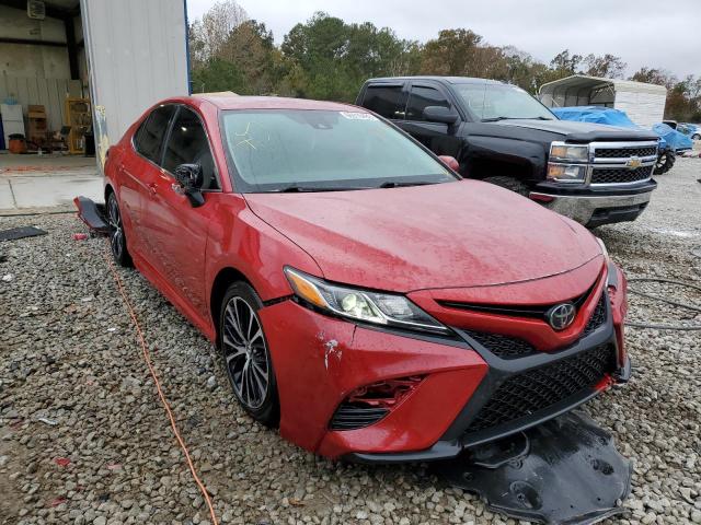 TOYOTA CAMRY 2019 4t1b11hk8ku227851