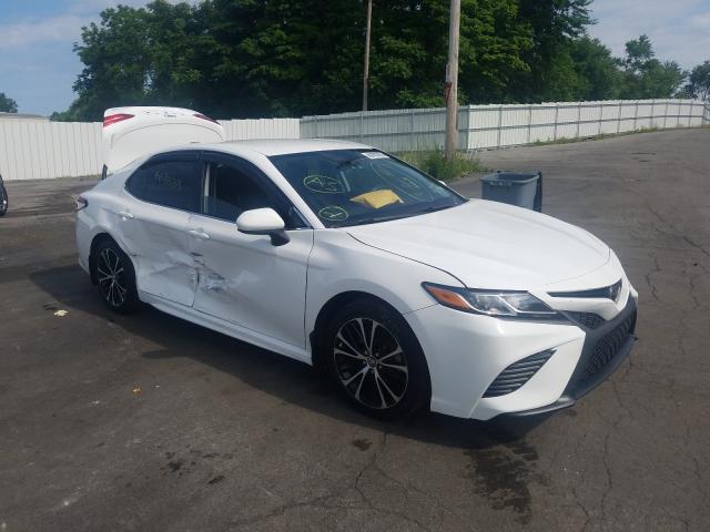 TOYOTA CAMRY L 2019 4t1b11hk8ku250644