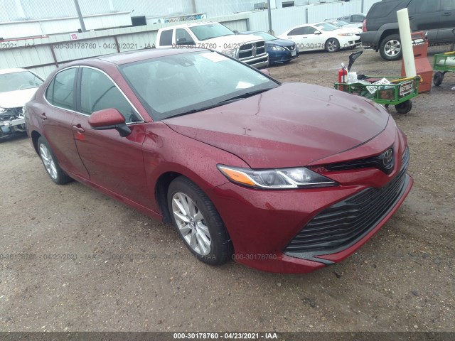 TOYOTA CAMRY 2019 4t1b11hk8ku252071