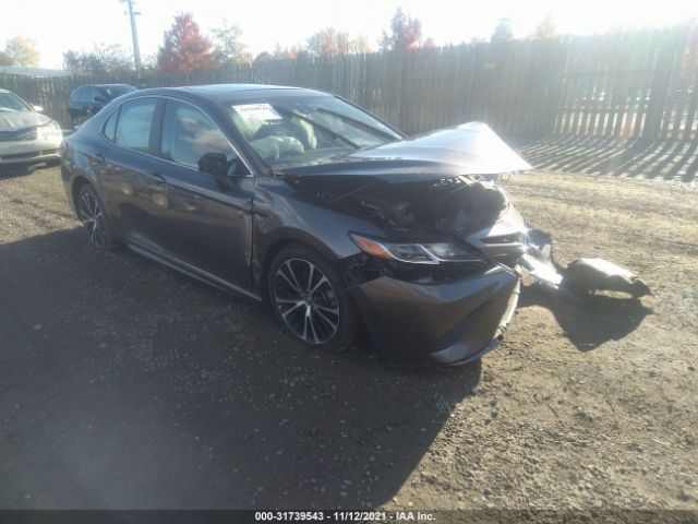 TOYOTA CAMRY 2019 4t1b11hk8ku254841