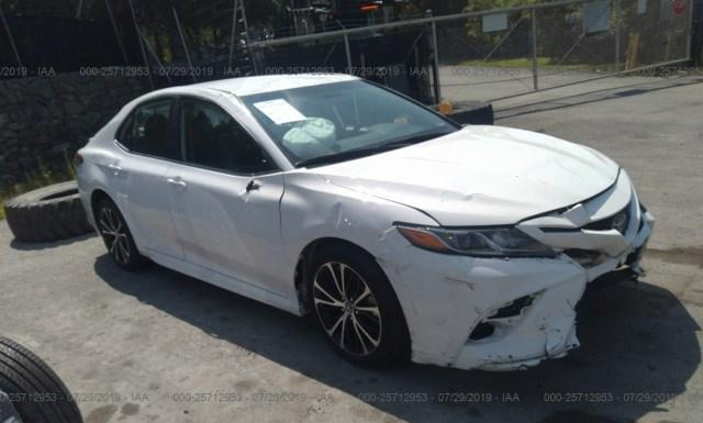 TOYOTA CAMRY 2019 4t1b11hk8ku685891