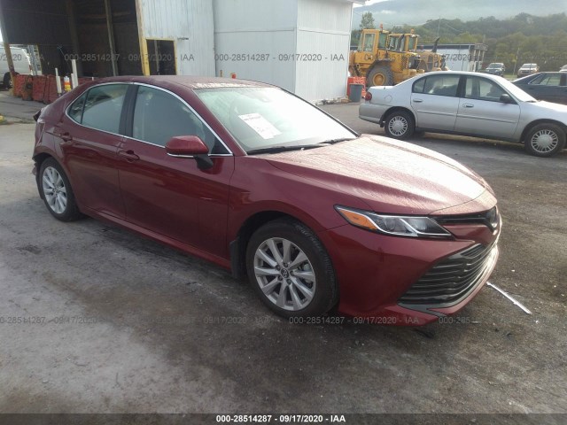 TOYOTA CAMRY 2019 4t1b11hk8ku691836