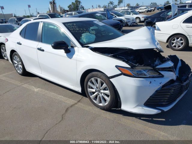 TOYOTA CAMRY 2019 4t1b11hk8ku772092