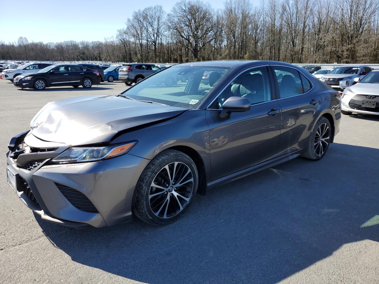 TOYOTA CAMRY 2019 4t1b11hk8ku778295