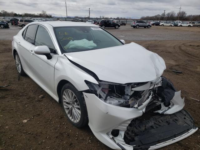 TOYOTA CAMRY L 2019 4t1b11hk8ku791077