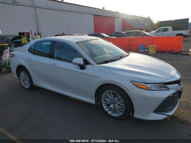 TOYOTA CAMRY 2019 4t1b11hk8ku792214