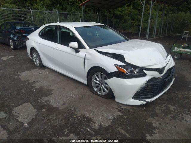 TOYOTA CAMRY 2019 4t1b11hk8ku806855