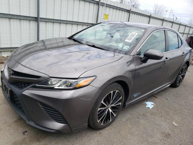 TOYOTA CAMRY L 2019 4t1b11hk9ku204885