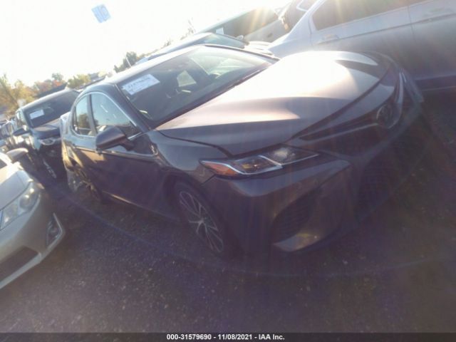 TOYOTA CAMRY 2019 4t1b11hk9ku216275