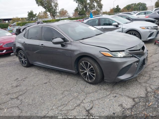 TOYOTA CAMRY 2019 4t1b11hk9ku221508