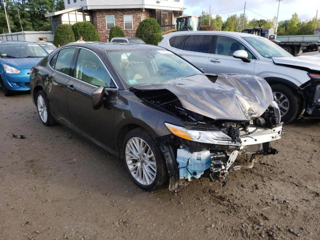 TOYOTA CAMRY L 2019 4t1b11hk9ku292255