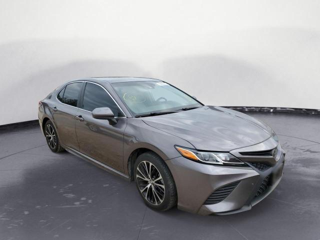 TOYOTA CAMRY L 2019 4t1b11hk9ku699055