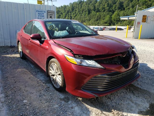 TOYOTA CAMRY 2019 4t1b11hk9ku758010