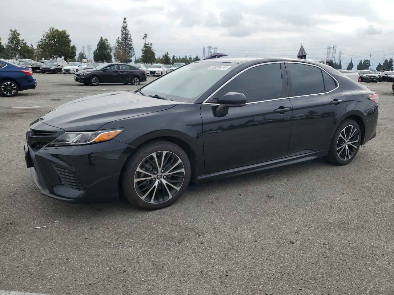 TOYOTA CAMRY 2019 4t1b11hk9ku837676