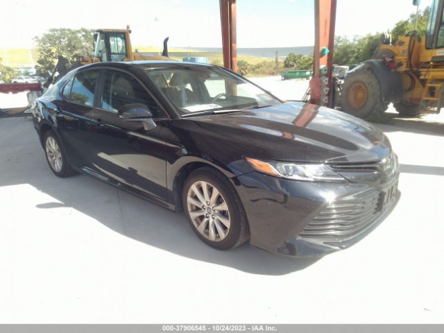 TOYOTA CAMRY 2019 4t1b11hk9ku842358