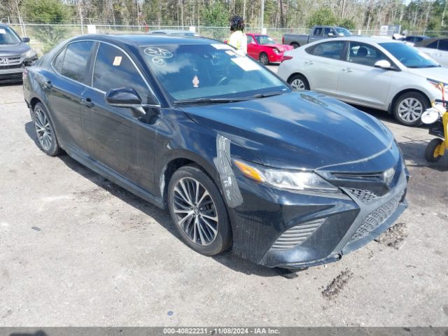 TOYOTA CAMRY 2019 4t1b11hkxku174098