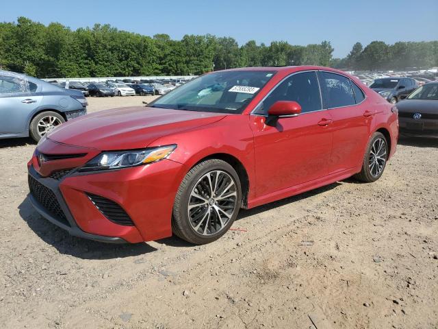 TOYOTA CAMRY L 2019 4t1b11hkxku174909