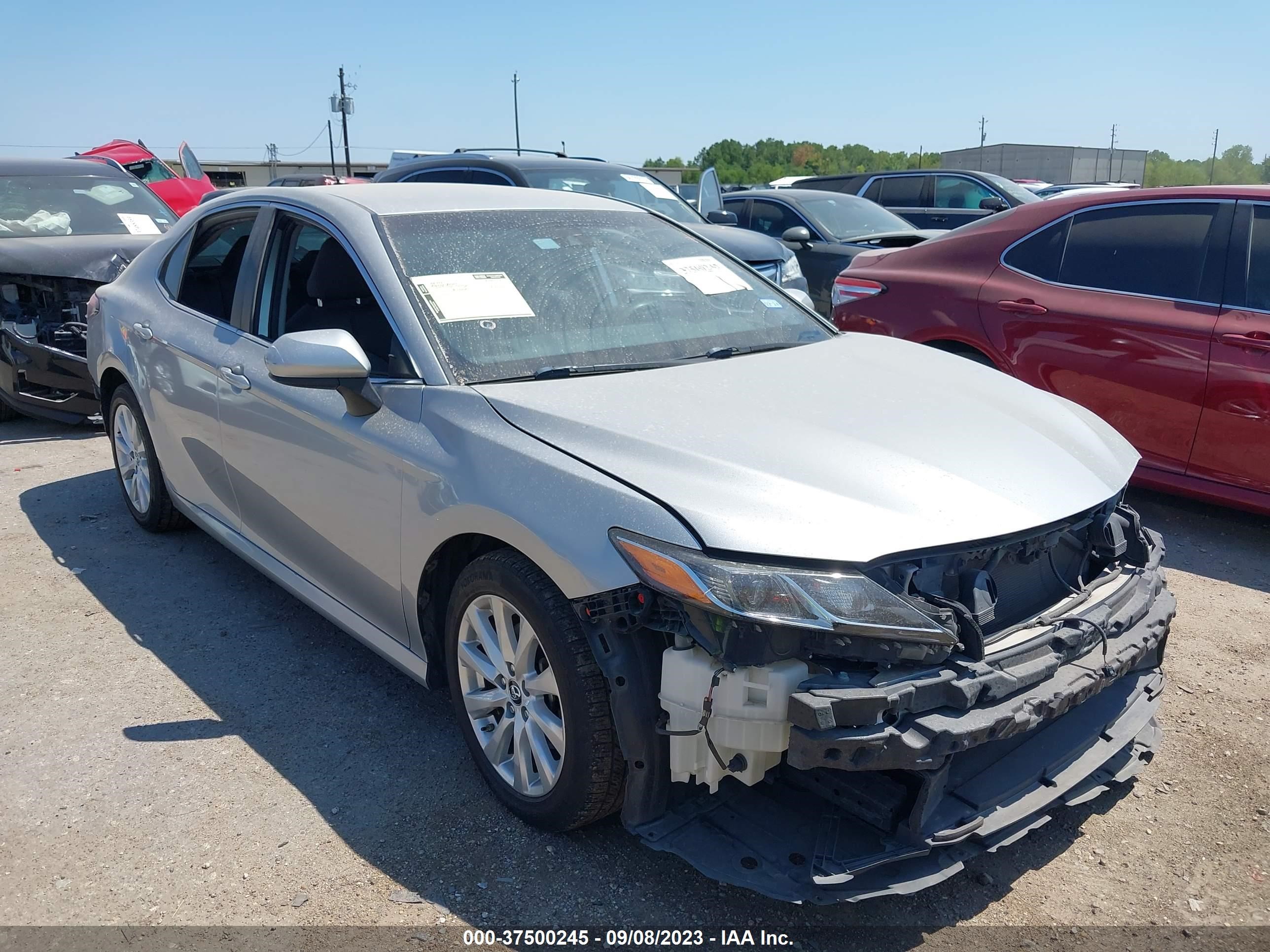 TOYOTA CAMRY 2019 4t1b11hkxku179785